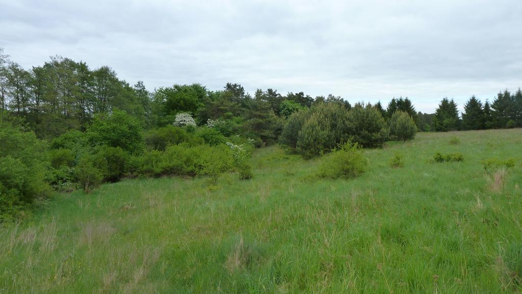 Bungalow Am Kuestrinsee Bei Люхен Екстериор снимка