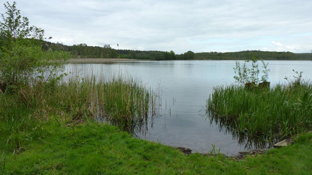 Bungalow Am Kuestrinsee Bei Люхен Екстериор снимка