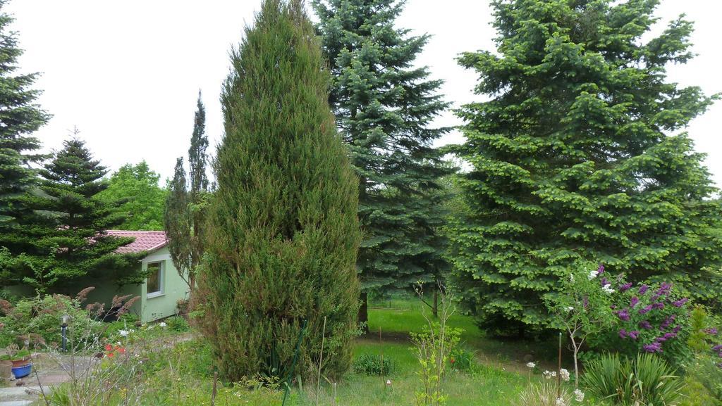 Bungalow Am Kuestrinsee Bei Люхен Екстериор снимка